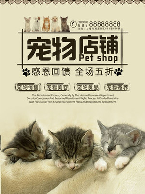 metamask钱包苹果版